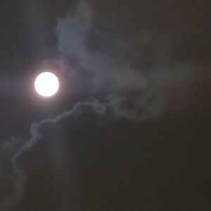 Meet your Posher, Dean